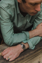Oxford Cloth Button Down Evergreen Stripe
