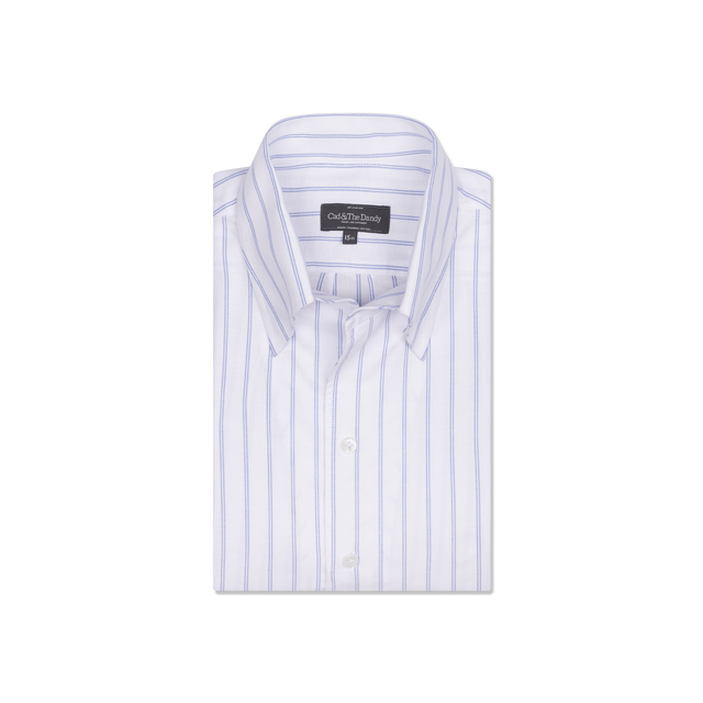 One Piece Button Down Shirt in Blue Double Stripe Stripe Oxford