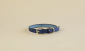 Pet Collar