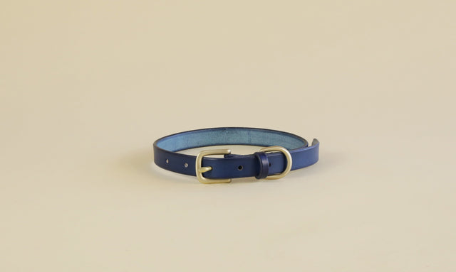 Pet Collar