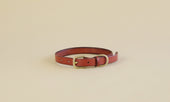 Pet Collar