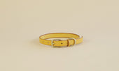 Pet Collar