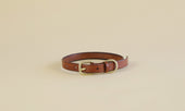 Pet Collar