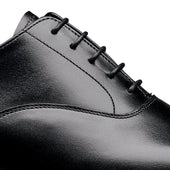 Connaught 2 Calf