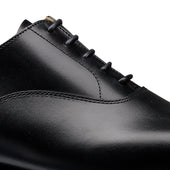 Connaught Calf