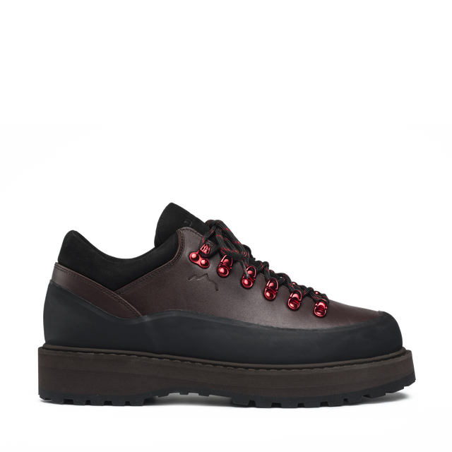 Oxblood