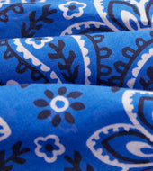 Paisley Print Cotton Bandana