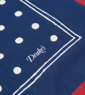 Polka Dot Print Bandana