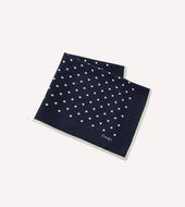 Polka Dot Print Silk Pocket Square