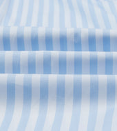 Broad Stripe Cotton Poplin Button Down Shirt