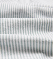 Light Green Ticking Stripe Cotton Oxford Cloth Button Down Shirt