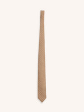 Silk Tie in Brown Micro Paisley