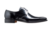 Darlington Hi Shine