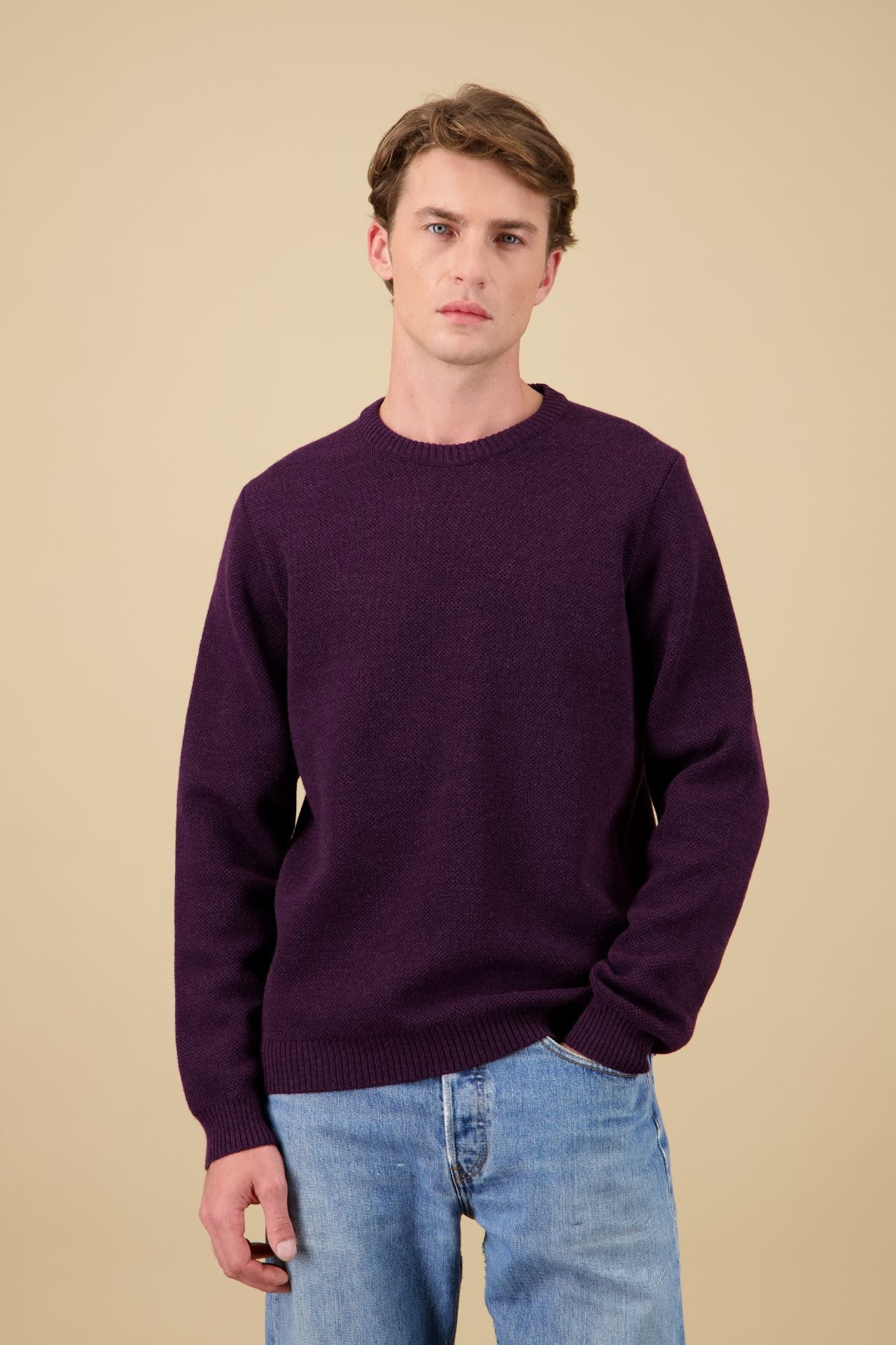 Pull Youri Col Rond Prune