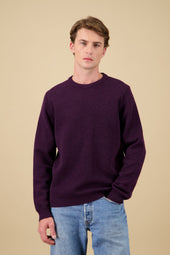 Pull Youri Col Rond - Prune