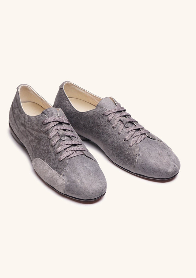 Grey Driving Derbies