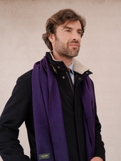 Charpe 100 Cachemire Violet Intense