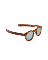 C J Havana Brown Sunglasses