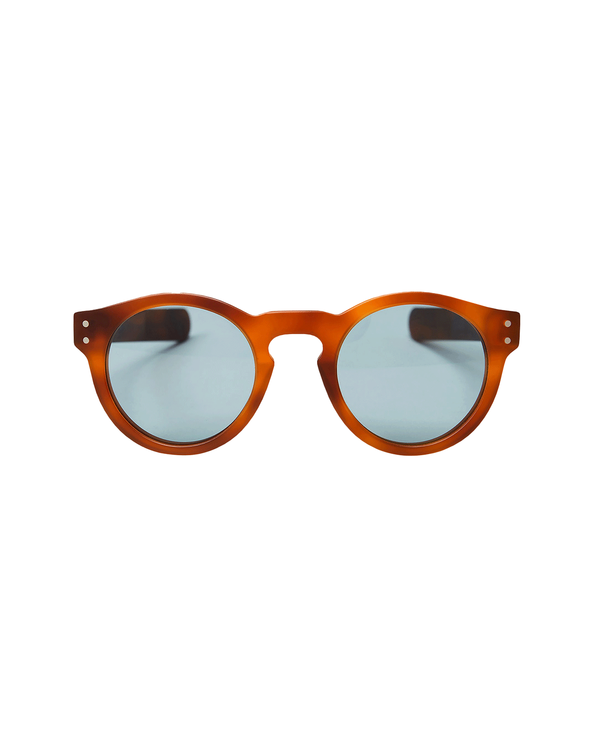 C J Havana Brown Sunglasses