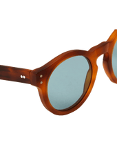C J Havana Brown Sunglasses