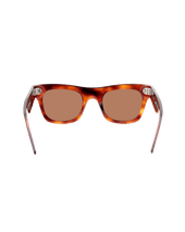 Orbison Havana Brown Sunglasses