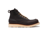 Eastern Brown Snakebite | Moc Toe