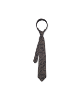 Hand Drawn Paisley Tie - Grey