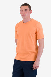 Contrast Sleeve T Shirt Faded