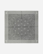 Scarf In Paisley Print Cotton