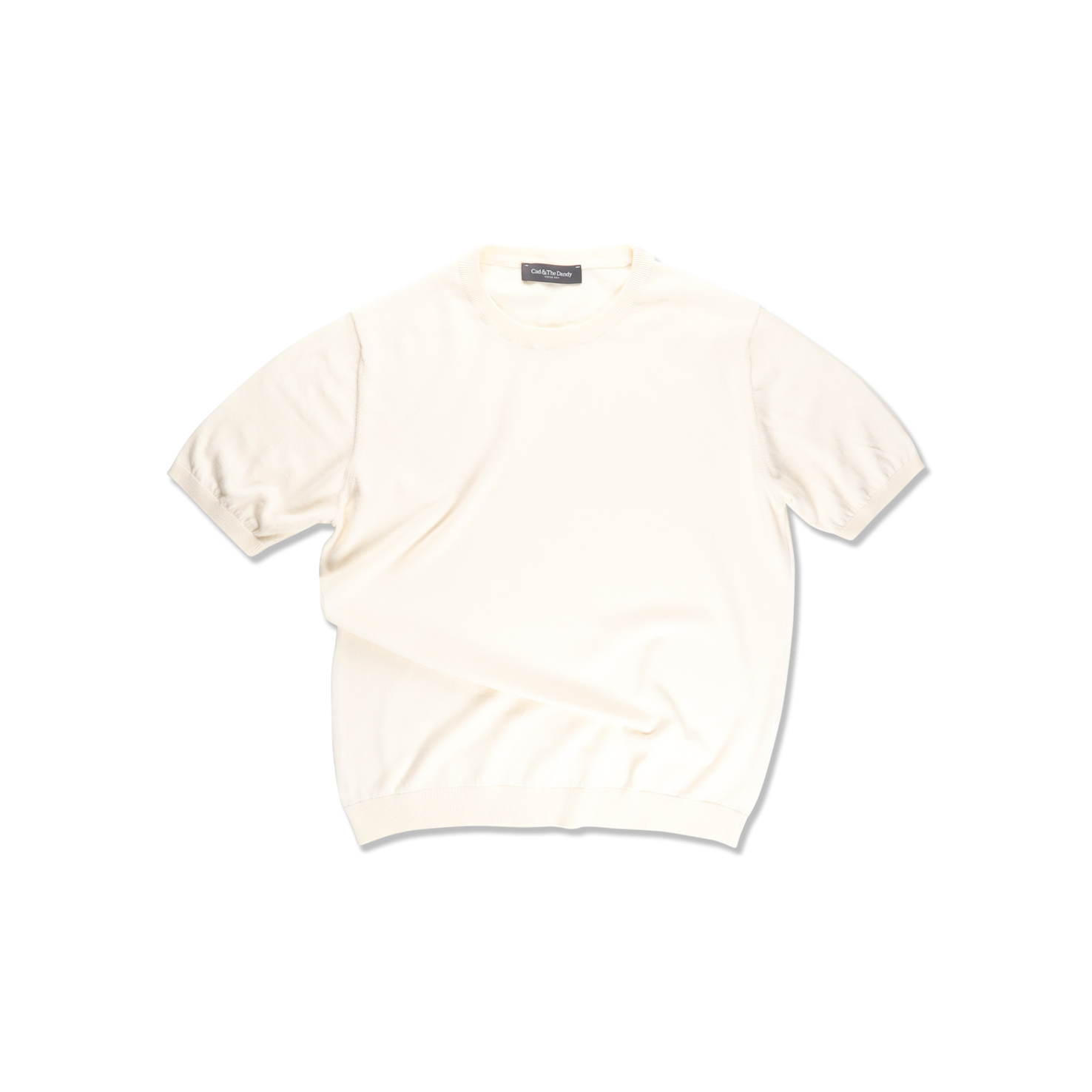 Ice Cotton T Shirt In Off White