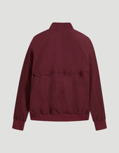 Harrington Peached Cotton