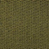 Webbing Belt In Green