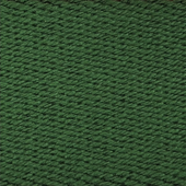Webbing Belt In Spruce