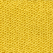 Webbing Belt In