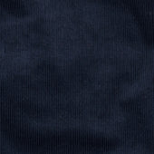 Corduroy Shirt With Inverted Pleat In