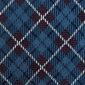 Jacquard Tie Check