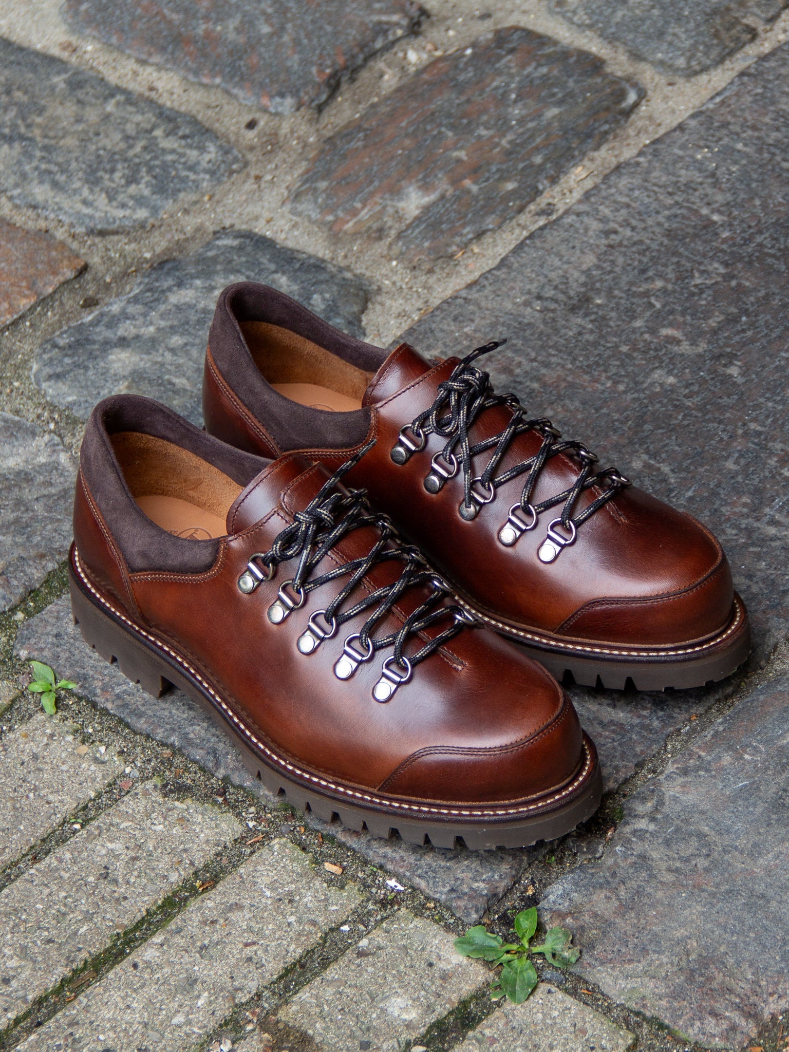 Bright Shoemakers Mountain Shoe Ii Chestnut