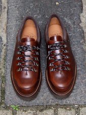 Bright Shoemakers Mountain Shoe Ii Chestnut