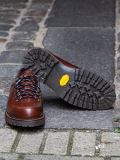 Bright Shoemakers Mountain Shoe Ii Chestnut