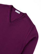 Purple V Neck Long Sleeve Sweater
