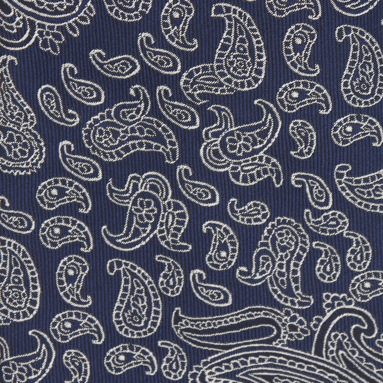 Large Paisley Tie In Silver