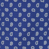 Twill Paisley Tie in Indigo