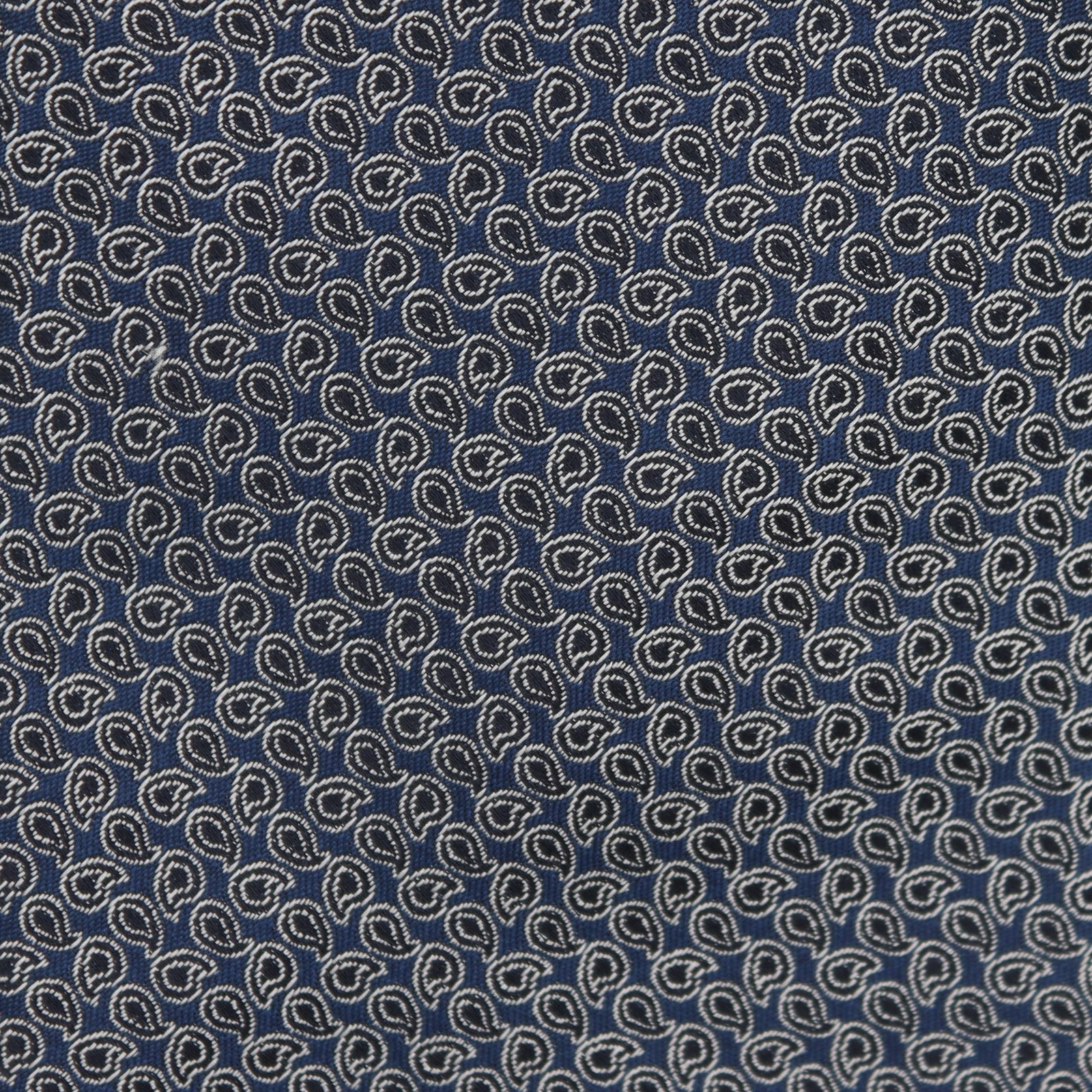 Swirl Paisley Tie In Silver