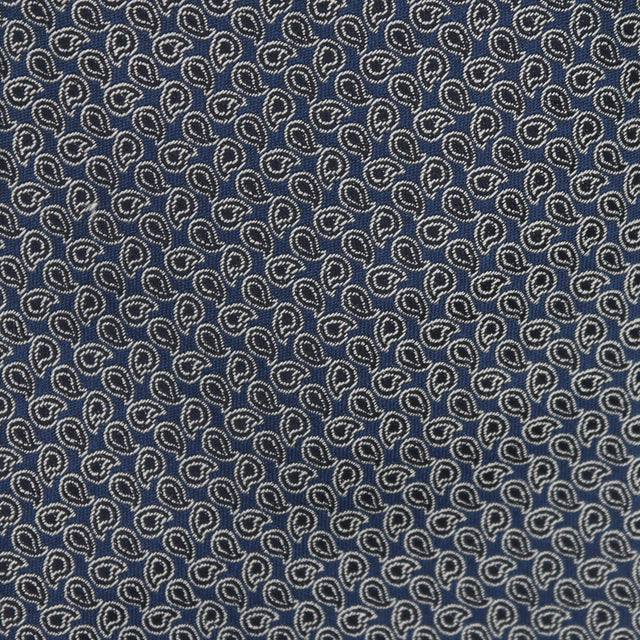 Swirl Paisley Tie in Navy & Silver