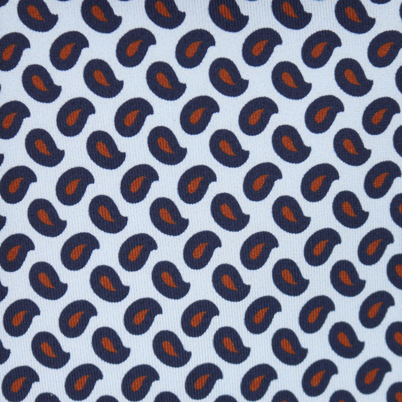Bold Paisley Tie In Blue