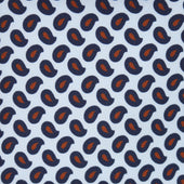 Bold Paisley Tie in Silver Blue