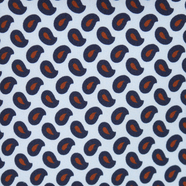 Bold Paisley Tie in Silver Blue