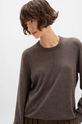 Superfine Cashmere Round Neck Brown Jumper