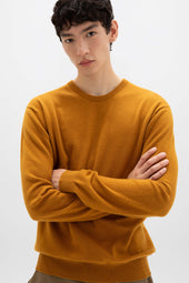 Cashmere Crew Neck Dark Jumper