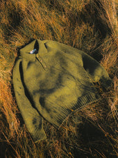Lewis Brushed Shetland Polo in Apple Lambswool